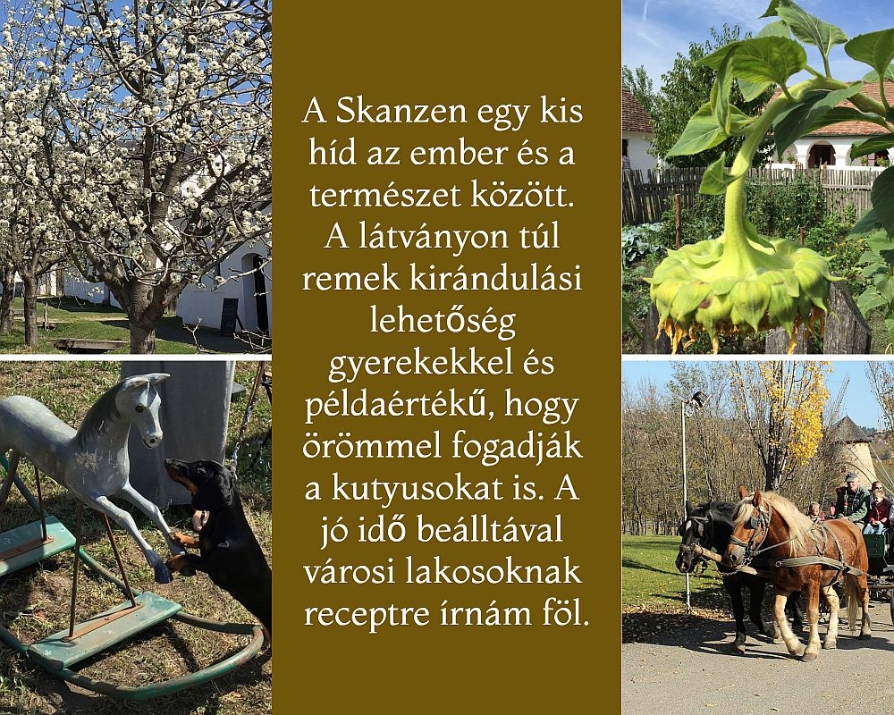 Szentendrei Skanze kutyabarát múzeum